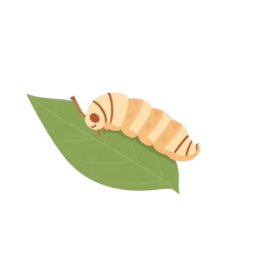 Silkworm